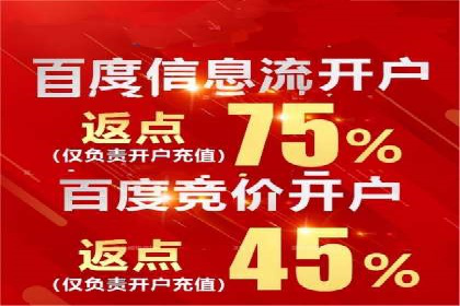 百度竞价排名案例揭秘：广告创意的重要性